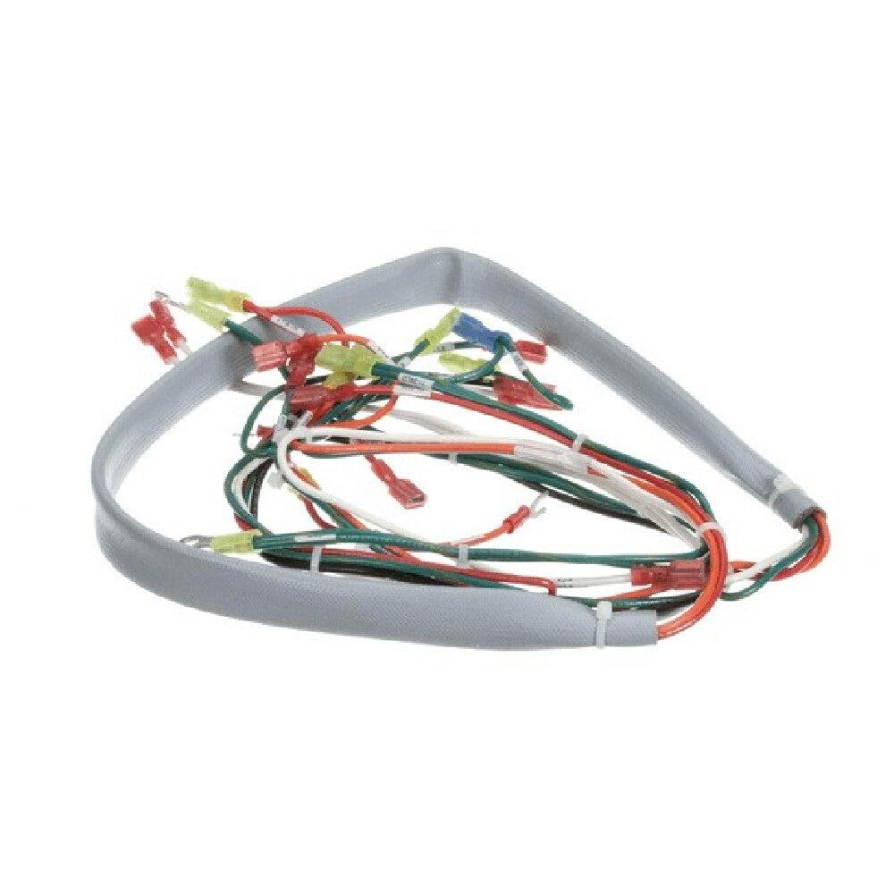 Groen 148503 Wiring Harness Controls Ee 20 40
