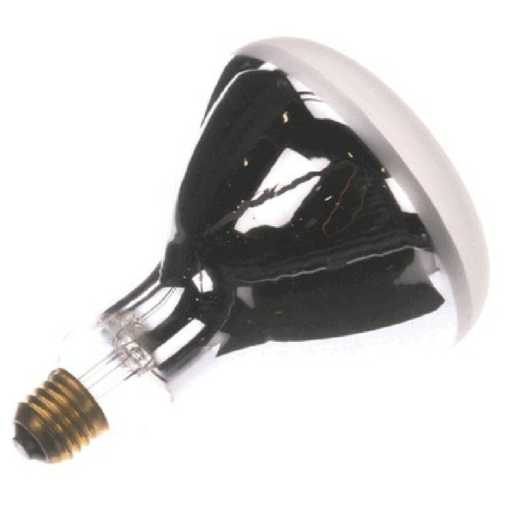 Star Mfg 2SY8346 Lamp250w 240v Infrared F R