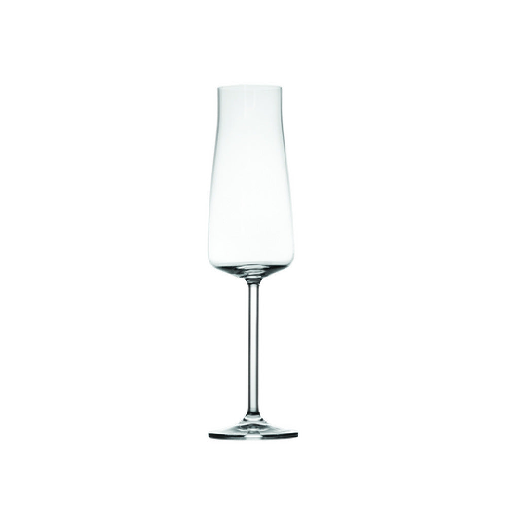 Hospitality Brands HGA40210-006 Hospitality Brands Jasmine Champagne Glass 9.5 Oz.