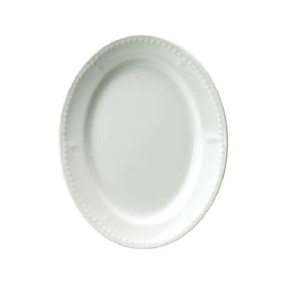 Churchill China W BD101 Plate 10" Rimmed