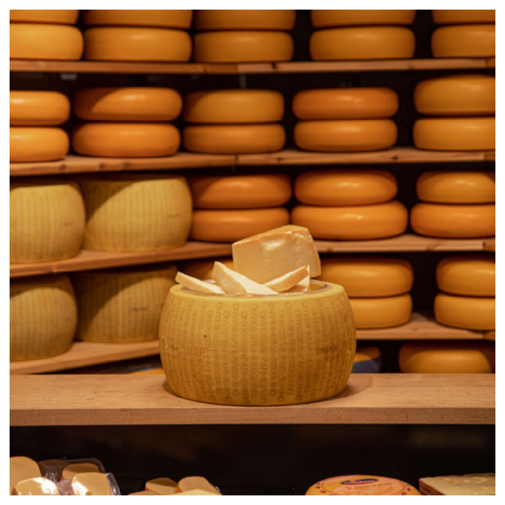 BOSKA 360049 - Boska Cheese Replica Parmesan Reggiano, With Dish, 16.92''W X 16.92''D X 9.33''H