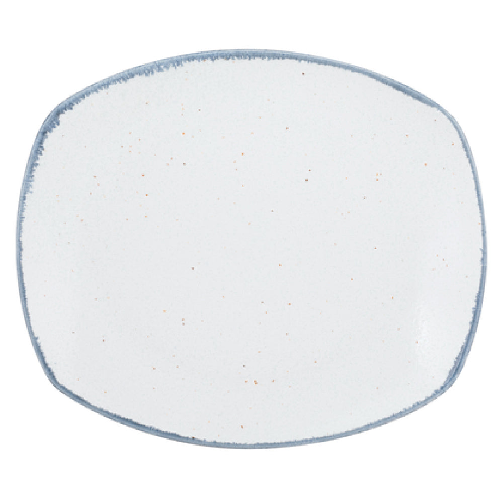 10 Strawberry St ARCTIC-24REC - Platter, 12-1/4" X 10-1/2", Rectangular