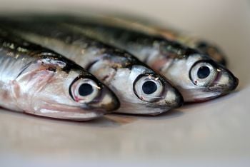 Keep Your Commercial Deep Fryer Busy With Anchovies