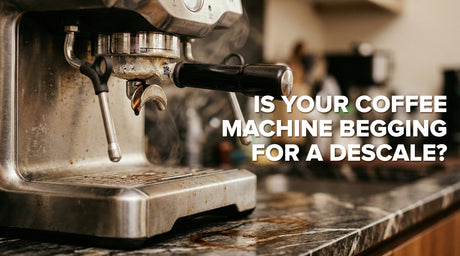Banner showing a coffee machine with steam and overlay text warning about signs of descaling