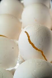 Things you should Never Freeze