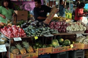 Study Shows Nearly 1 out of 4 Farmers Markets With E.Coli