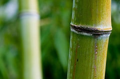 Hotel Chains Become Even More Green