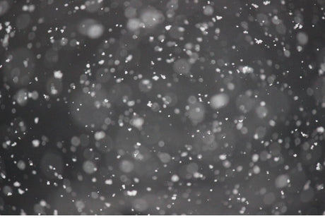 Spice Up Your Snow Day!