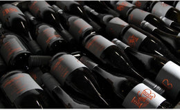 Wine, Wine, and More Wine!