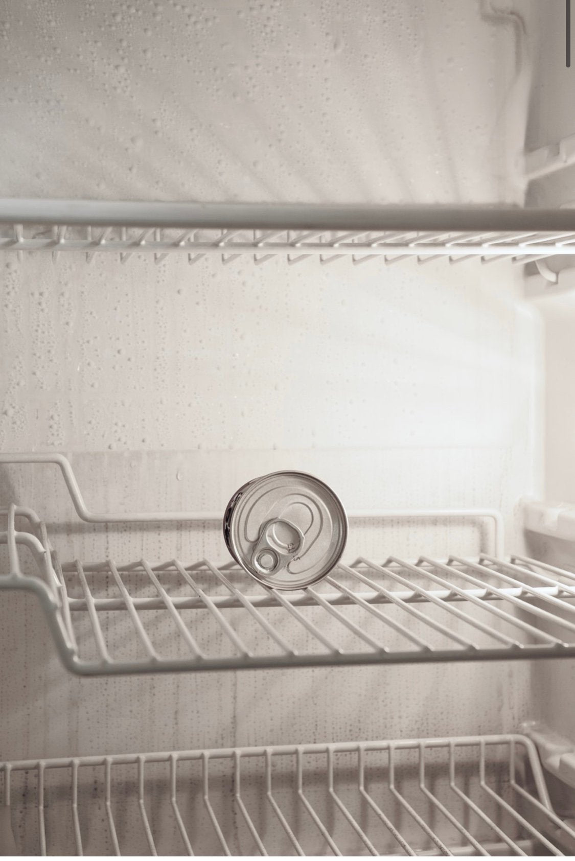 Refrigerator Cleaning Process