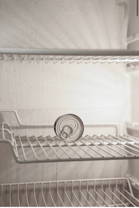 Refrigerator Cleaning Process