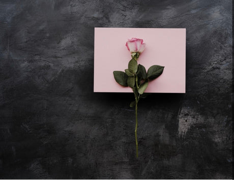 Valentine's Day Cocktails