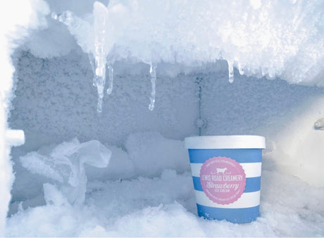 Home Made vs. Packaged Ice