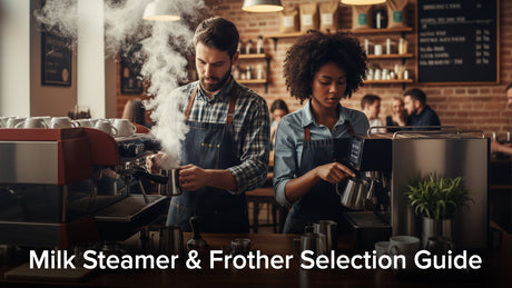 Commercial Milk Steamers vs Frothers: How to Choose the Right System