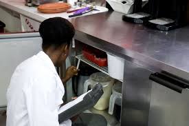 Is your Refrigerator Thermometer Working?