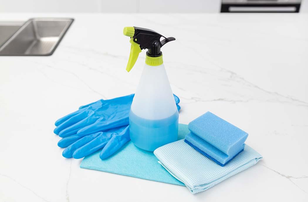 Sanitary Supplies in a Commercial Restaurant