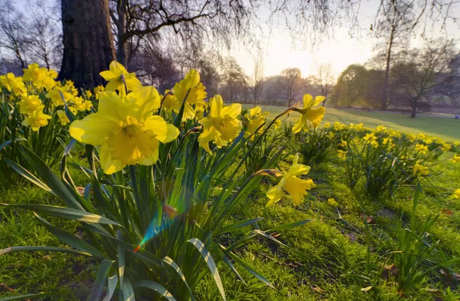 Spring is Nearly Here-- Take Advantage!