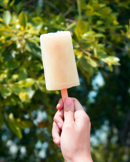 Boozy Popsicles