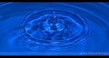 5 Quick and Easy Water Saving Strategies For Your Restaurant