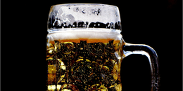 4 Refreshing Beer Trends for Brewery, Bar, and Restaurant Owners