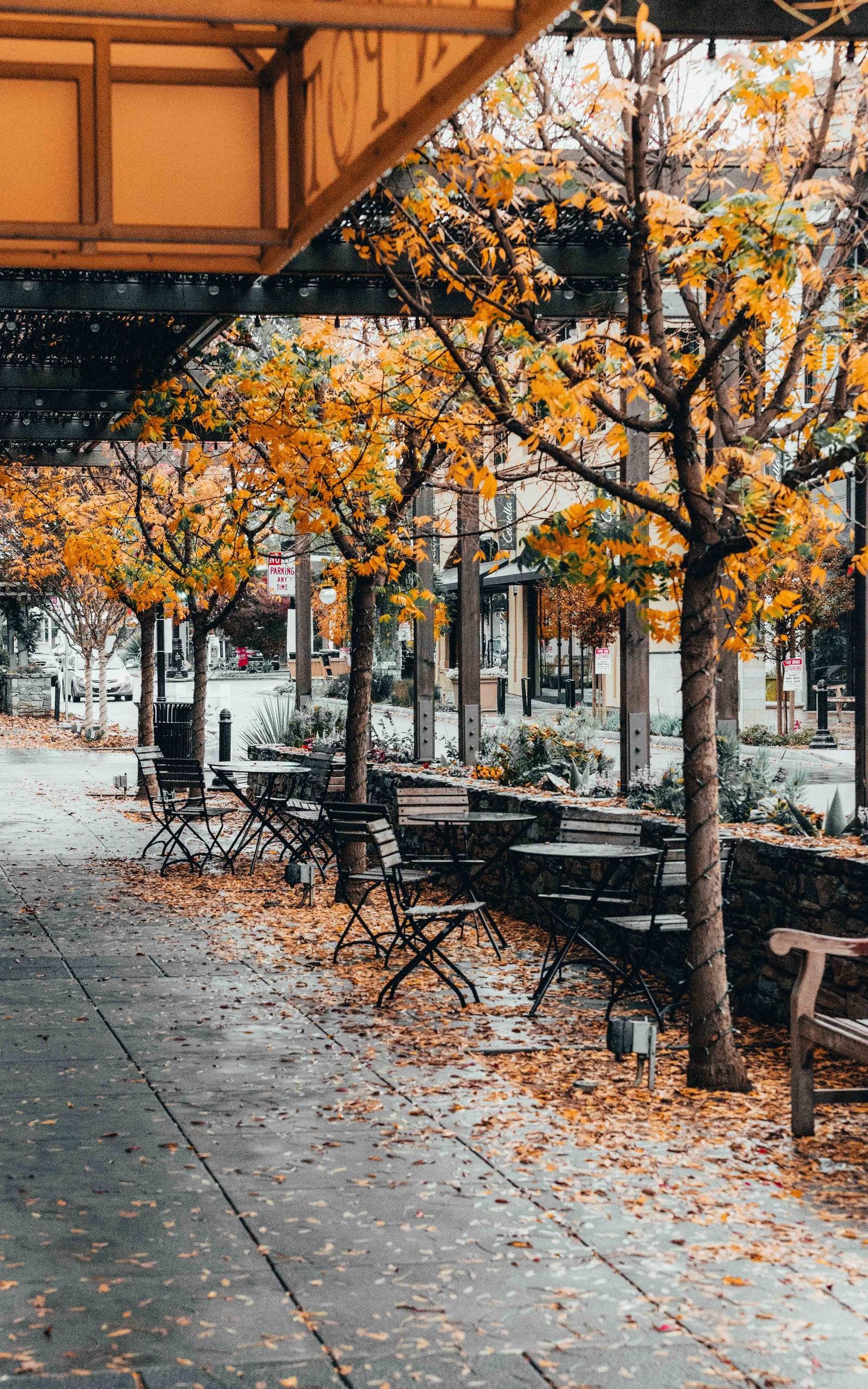 Adding Fall Flair to your Marketing Strategy