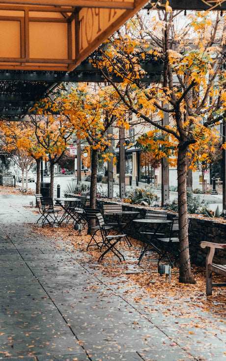 Adding Fall Flair to your Marketing Strategy