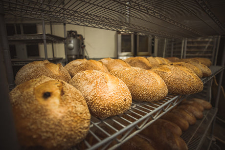 Cheese and Bread Pairings for your Table from Hartford Baking Company