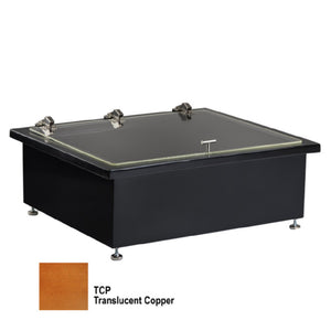 Sub-category: Ice-Cooled Drop-In Cold Food Well Units