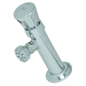 Sub-category: Metering Faucets