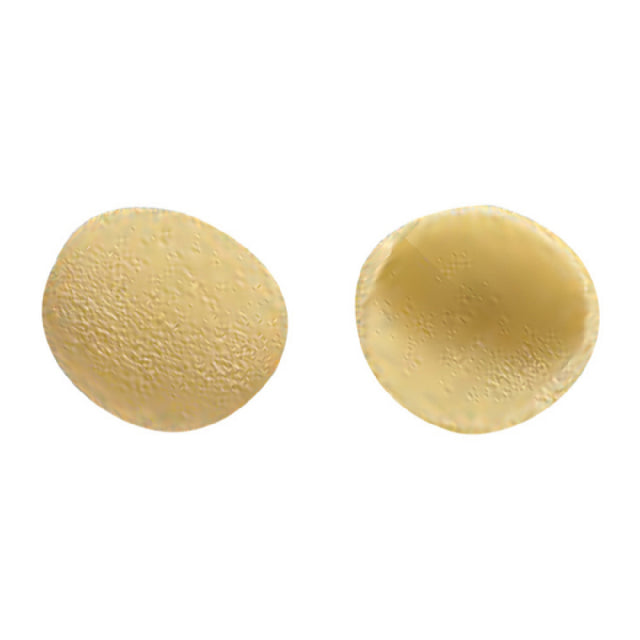Arcobaleno Pasta Equipment AEX30STELLA#183 Extruder Die 23mm Orecchiette
