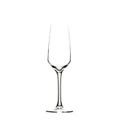 Hospitality Brands HGV4664-006 Hospitality Brands Platine Champagne Glass 7 Oz.