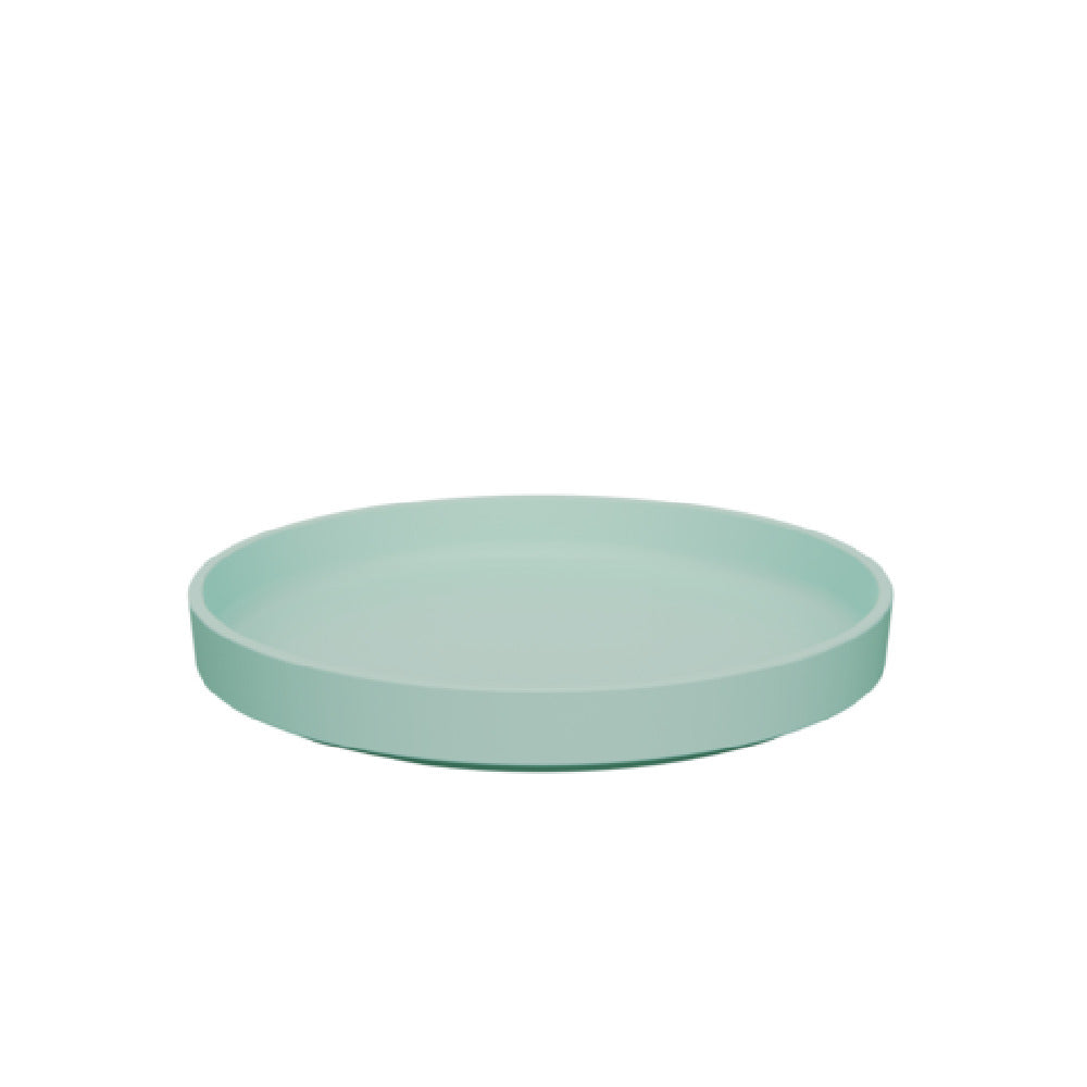 BauscherHepp TAQ4643 Plate 9"x1" Matte Aqua