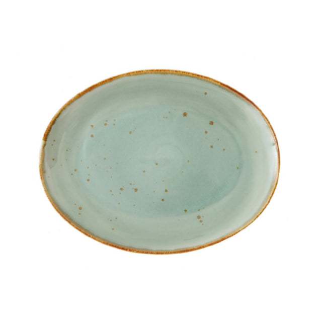Fortessa TC7300.DV.5.28 Erthe Celadon Platter 13x10" (33x25cm) Flat Oval