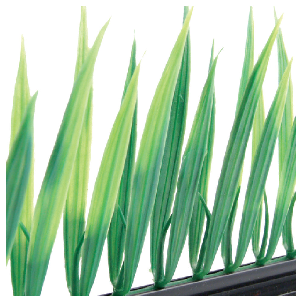 BauscherHepp GB38 Grass Garnish 10"L Dishwasher Safe
