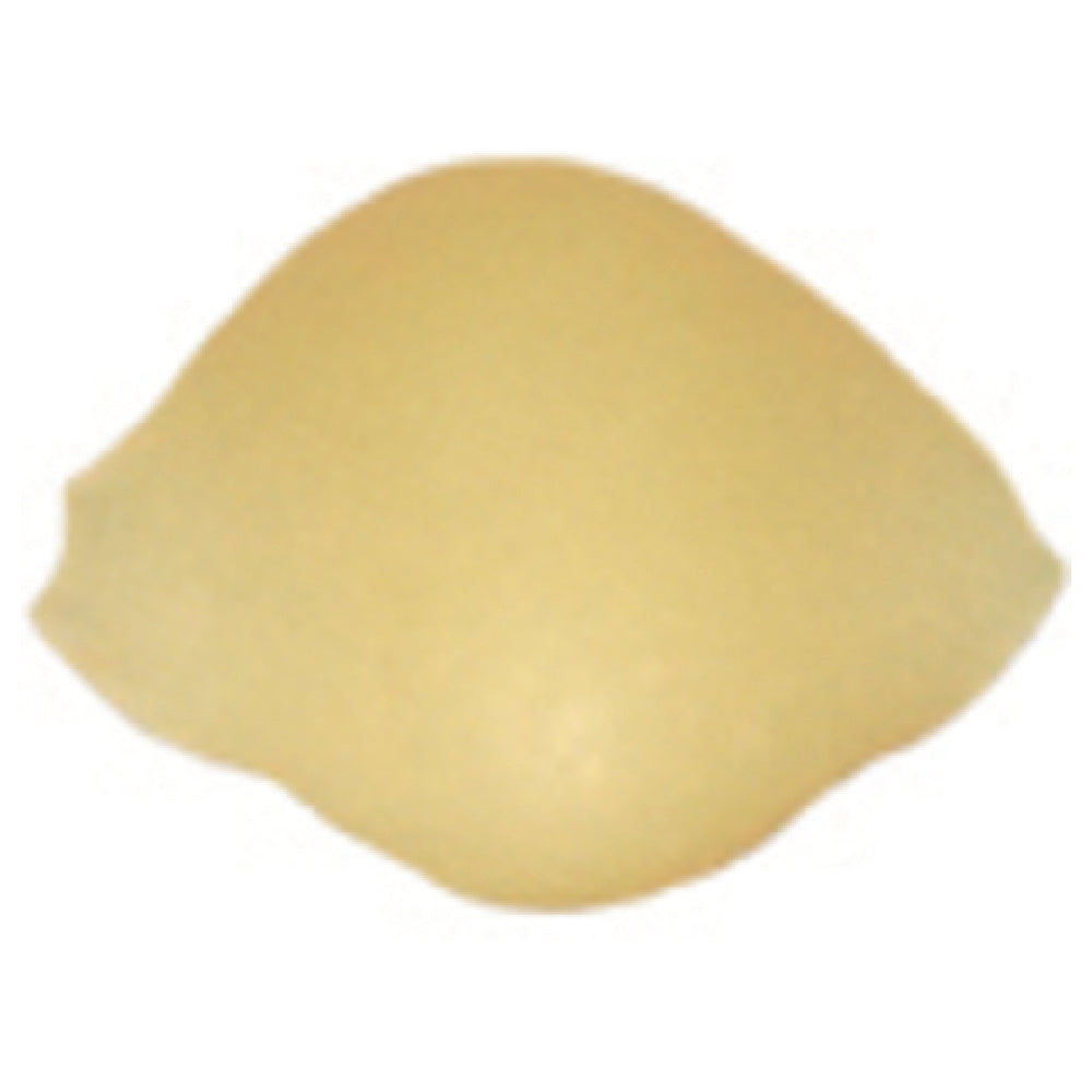 Arcobaleno Pasta Equipment AEX50#159 Extruder Die 10mm Shell