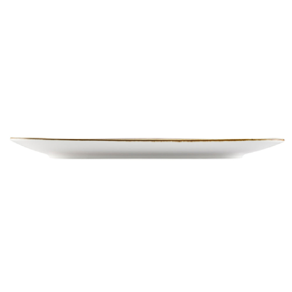 CAC China TUS-T41-BGE Tucson Plate 13-1/8" X 7-1/4" Triangular