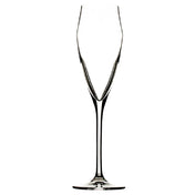 Hospitality Brands HGR25492-012 Hospitality Brands Evo Champagne Glass 6 Oz.