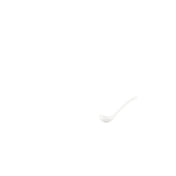 Vertex China RB-SL Spoon 5-5/8” Spice