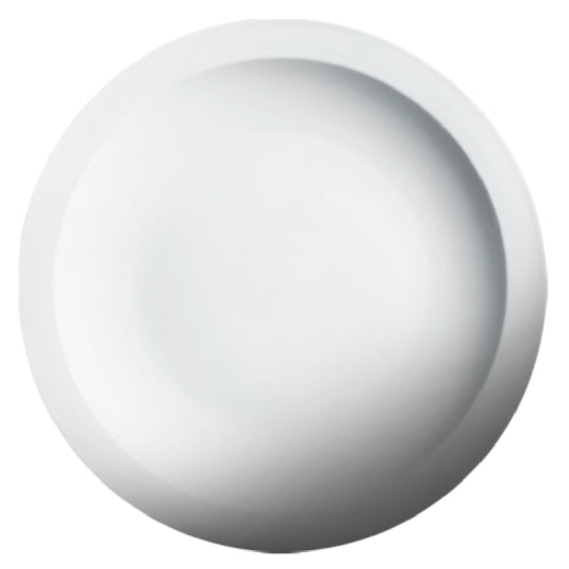 Cameo China 210-141 Imperial Rim Plate 14" Dia. X 1-7/8"H (35.5 Cm X 4.7 Cm)