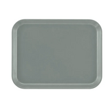 Rectangular gray Camtray with rounded corners and a slightly raised edge, shown from above on a plain white background. Made from high-impact fiberglass, this tray features a smooth, matte finish and is dishwasher safe.