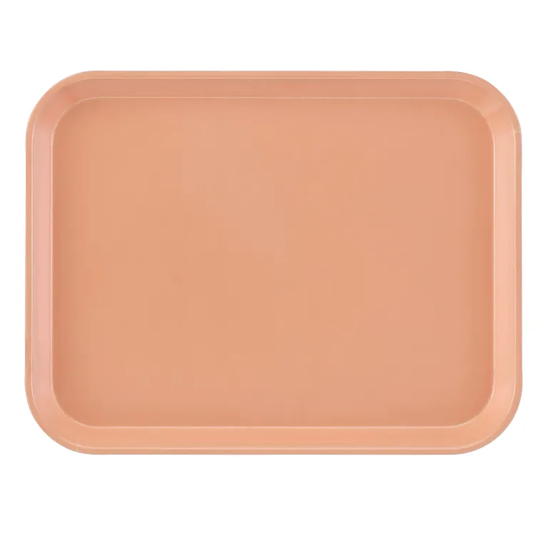 A rectangular Camtray with rounded corners and raised edges, shown from above. Made from high-impact fiberglass, the solid peach tray is smooth, unadorned, dishwasher safe, and set against a plain white background to emphasize its minimalist design.