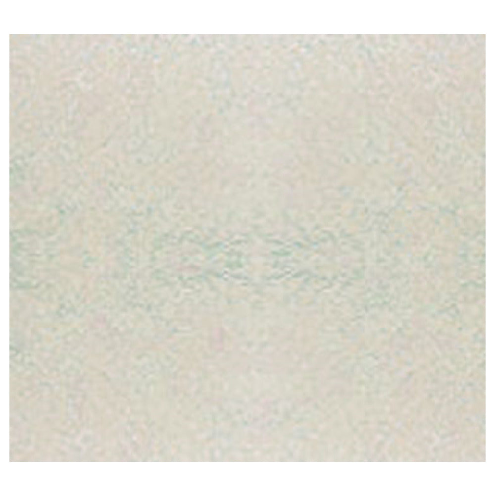 A close-up image of a textured, off-white surface with subtle blue-gray and pinkish undertones, reminiscent of a high-impact fiberglass Camtray. The surface appears slightly rough and grainy, like lightly speckled plaster or paper. No distinct objects or patterns.