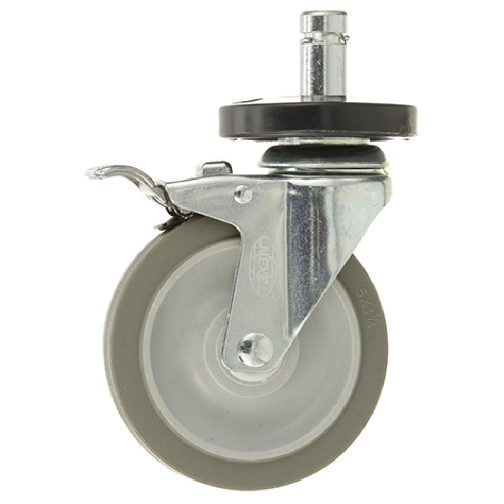 Private Label 1038 Caster W/brake & Bumper