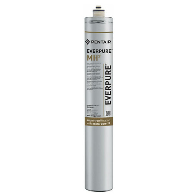 Everpure EV9613-21 Filter Inmhin