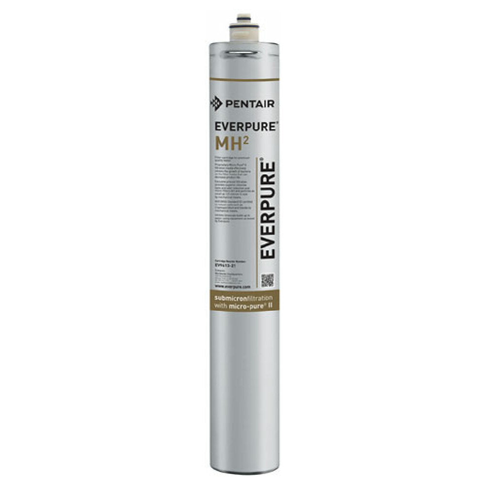 Everpure EV961301 Filter Inmhin