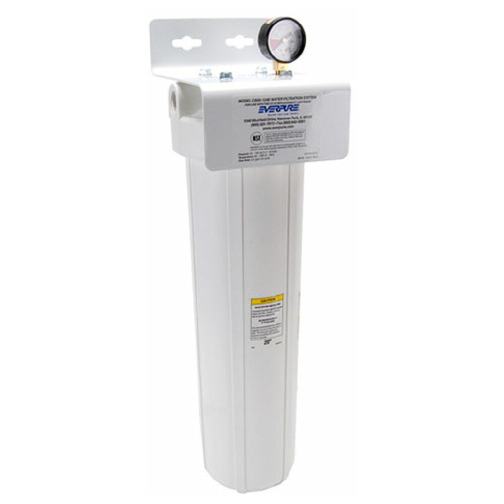 Everpure EV910031 System Fount/combo Cb20 124e