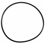 Everpure 143273 O Ring Housing