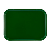 A rectangular, dark green Camtray made from high-impact fiberglass with slightly raised, rounded edges. The NSF-certified tray is empty and set against a plain white background, photographed from above.