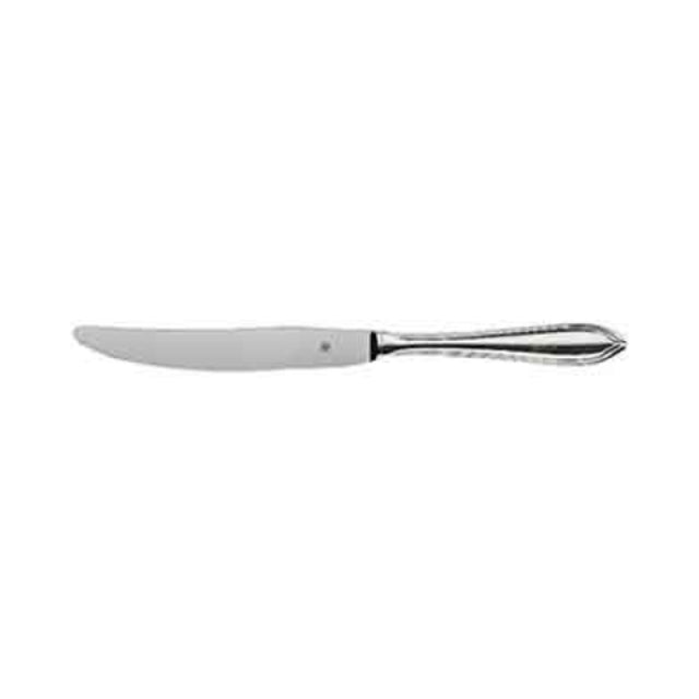 BauscherHepp 10.1103.6067 Table Knife 9-1/4" Hollow Handle