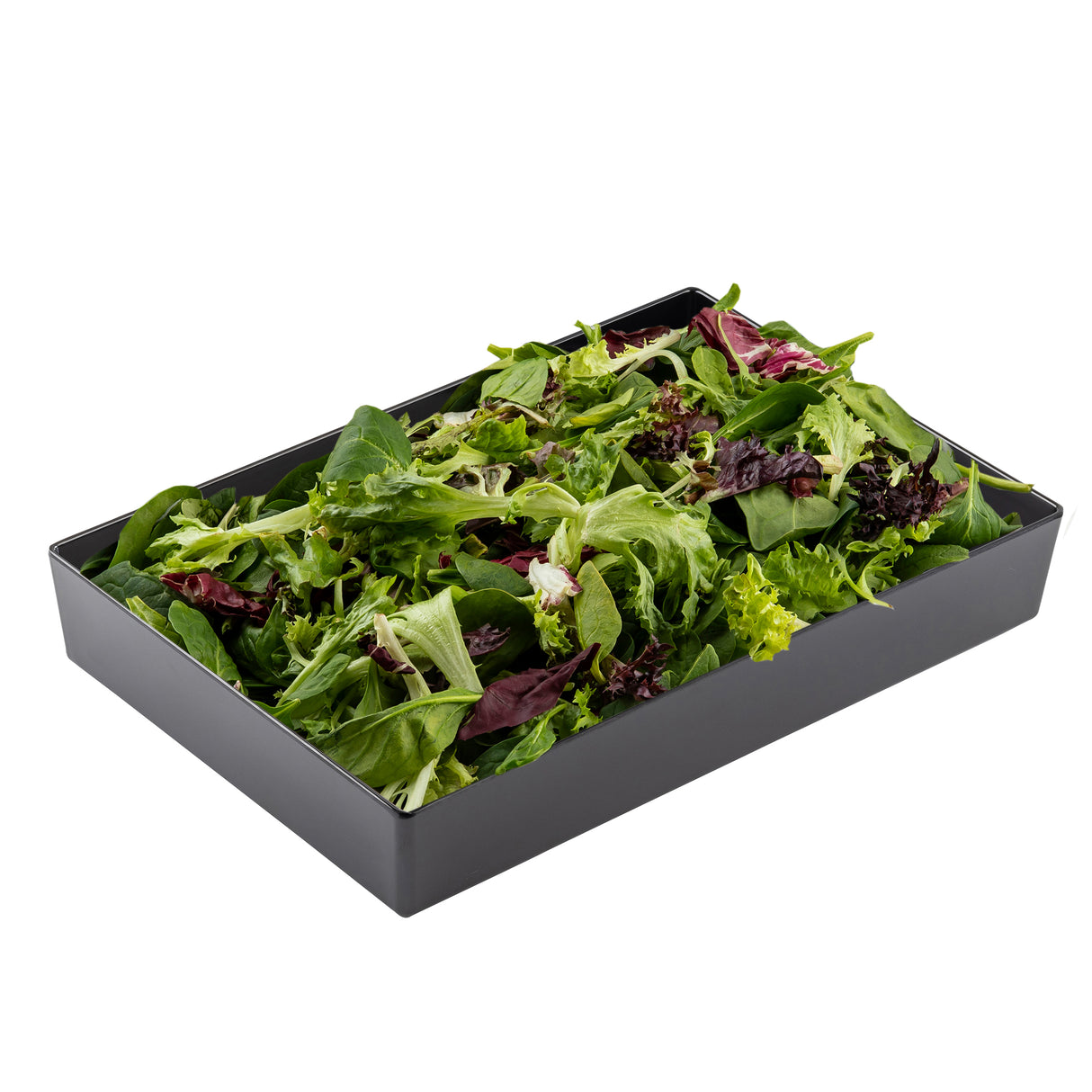 A rectangular black melamine bowl filled with a mix of fresh, leafy salad greens—spinach, arugula, and red and green lettuce. The vibrant leaves, from deep green to reddish-purple, stand out beautifully against the sleek tray.